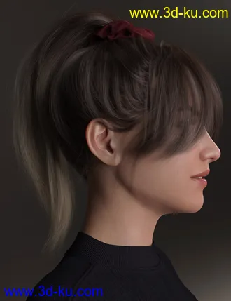 3D打印模型4-in-1 Buns and Ponytail Hair for Genesis 8 and 8.1 Females的图片