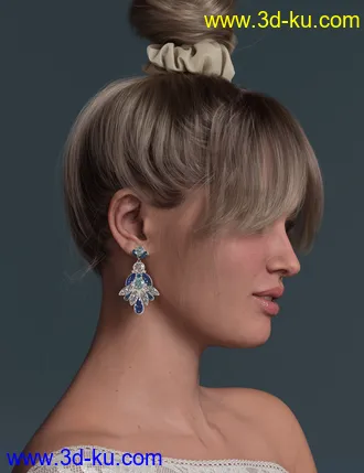 3D打印模型4-in-1 Buns and Ponytail Hair for Genesis 8 and 8.1 Females的图片