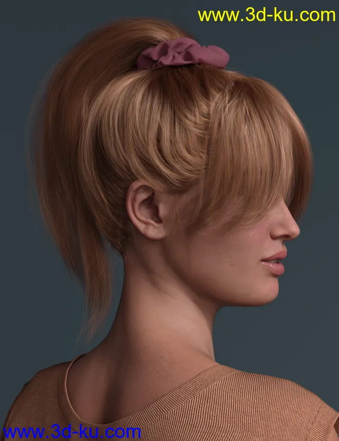4-in-1 Buns and Ponytail Hair for Genesis 8 and 8.1 Females模型的图片9