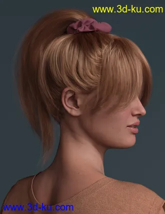 3D打印模型4-in-1 Buns and Ponytail Hair for Genesis 8 and 8.1 Females的图片