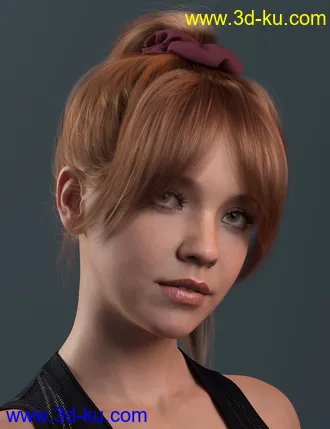 3D打印模型4-in-1 Buns and Ponytail Hair for Genesis 8 and 8.1 Females的图片