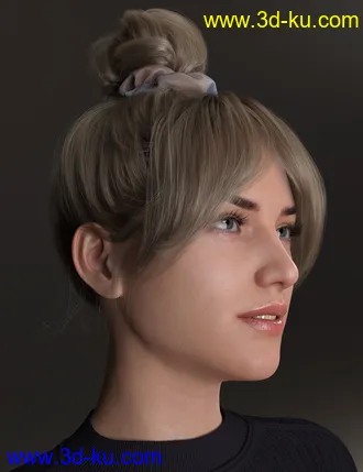 3D打印模型4-in-1 Buns and Ponytail Hair for Genesis 8 and 8.1 Females的图片
