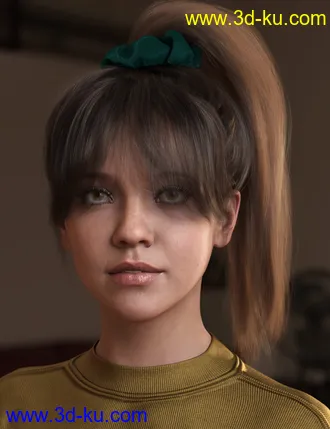3D打印模型4-in-1 Buns and Ponytail Hair for Genesis 8 and 8.1 Females的图片