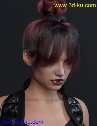 3D打印模型4-in-1 Buns and Ponytail Hair for Genesis 8 and 8.1 Females的图片