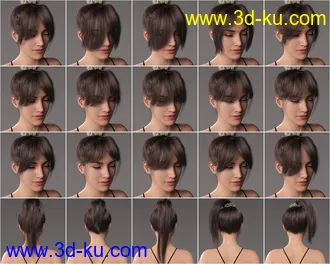 3D打印模型4-in-1 Buns and Ponytail Hair for Genesis 8 and 8.1 Females的图片