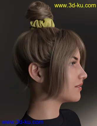 3D打印模型4-in-1 Buns and Ponytail Hair for Genesis 8 and 8.1 Females的图片