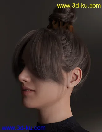 3D打印模型4-in-1 Buns and Ponytail Hair for Genesis 8 and 8.1 Females的图片