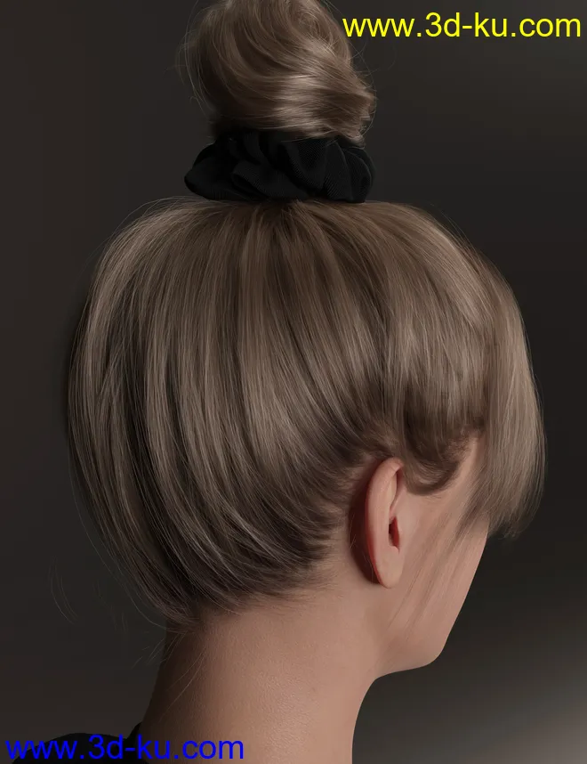 4-in-1 Buns and Ponytail Hair for Genesis 8 and 8.1 Females模型的图片27