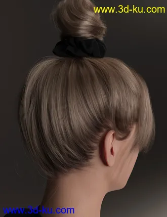 3D打印模型4-in-1 Buns and Ponytail Hair for Genesis 8 and 8.1 Females的图片