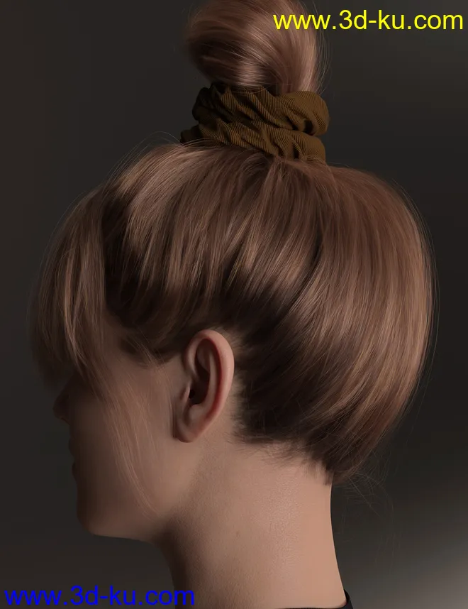 4-in-1 Buns and Ponytail Hair for Genesis 8 and 8.1 Females模型的图片28