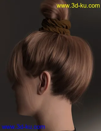 3D打印模型4-in-1 Buns and Ponytail Hair for Genesis 8 and 8.1 Females的图片