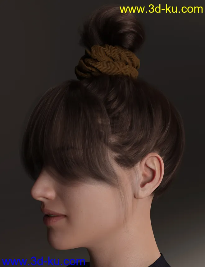 4-in-1 Buns and Ponytail Hair for Genesis 8 and 8.1 Females模型的图片29