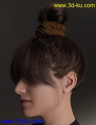 3D打印模型4-in-1 Buns and Ponytail Hair for Genesis 8 and 8.1 Females的图片