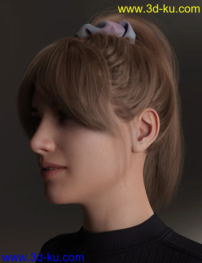 4-in-1 Buns and Ponytail Hair for Genesis 8 and 8.1 Females模型的图片30