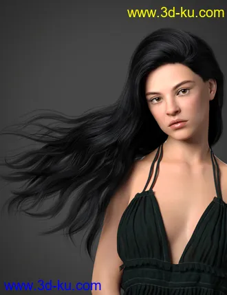 3D打印模型Adena Hair for Genesis 8 and 8.1 Female的图片
