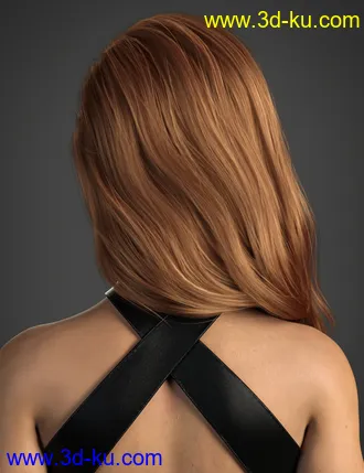 3D打印模型Adena Hair for Genesis 8 and 8.1 Female的图片