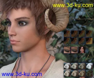 3D打印模型Aerys HD for Genesis 8.1 Male的图片