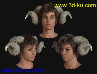 3D打印模型Aerys HD for Genesis 8.1 Male的图片