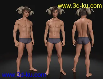 3D打印模型Aerys HD for Genesis 8.1 Male的图片
