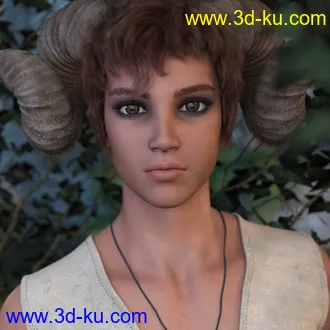 3D打印模型Aerys HD for Genesis 8.1 Male的图片