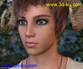 3D打印模型Aerys HD for Genesis 8.1 Male的图片