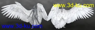 3D打印模型Avija Wings and Tail for Genesis 8 and 8.1 Females的图片