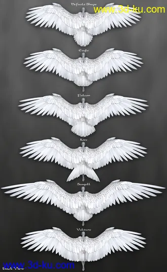 3D打印模型Avija Wings and Tail for Genesis 8 and 8.1 Females的图片