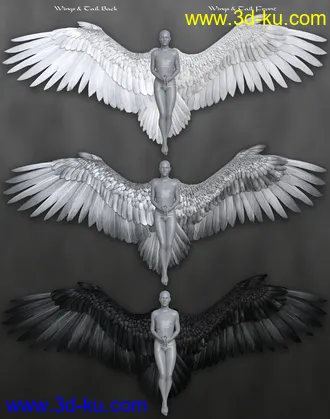 3D打印模型Avija Wings and Tail for Genesis 8 and 8.1 Females的图片