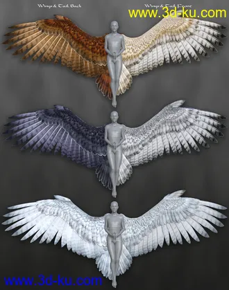 3D打印模型Avija Wings and Tail for Genesis 8 and 8.1 Females的图片