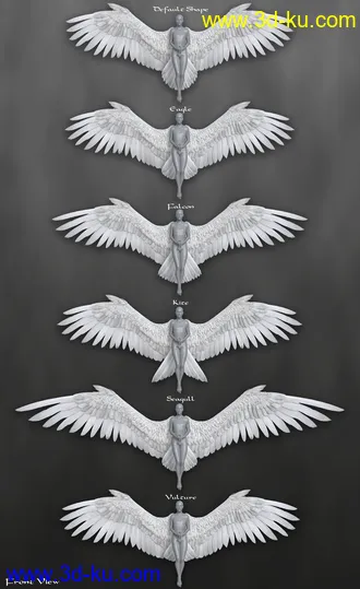 3D打印模型Avija Wings and Tail for Genesis 8 and 8.1 Females的图片
