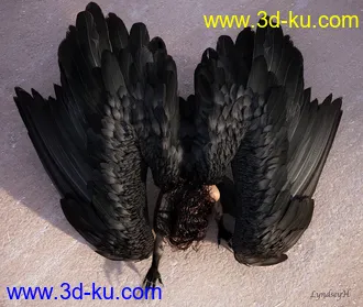 3D打印模型Avija Wings and Tail for Genesis 8 and 8.1 Females的图片