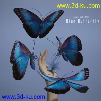 3D打印模型Blue Butterfly的图片