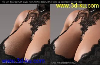 3D打印模型Breast Utilities 2 for Genesis 8 and 8.1 Females的图片