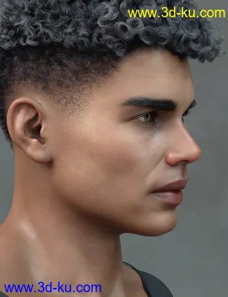 3D打印模型Bryson HD for Genesis 8.1 Male的图片