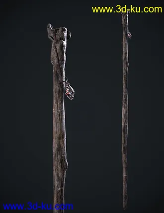 3D打印模型BW Wizard Wooden Staffs Set for Genesis 8.1 (1)的图片