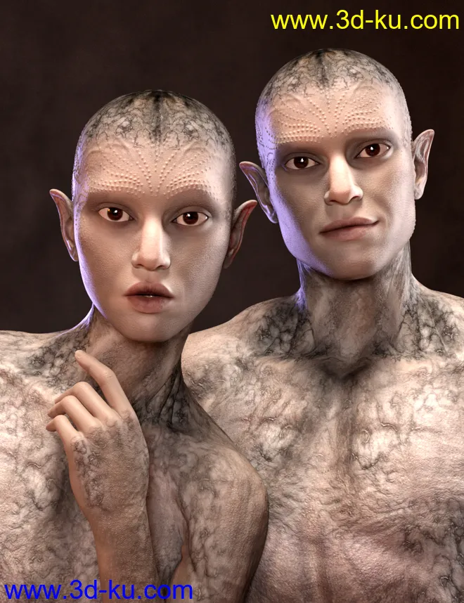 Calique and Calix HD for Genesis 8.1 Male模型的图片1