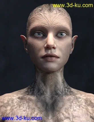 3D打印模型Calique and Calix HD for Genesis 8.1 Male的图片