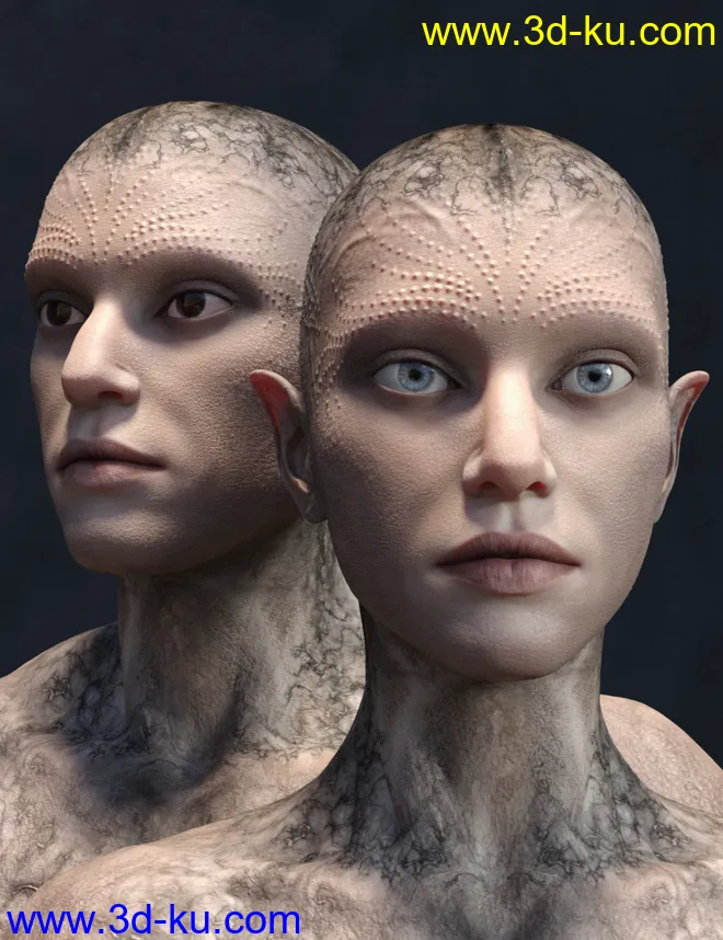 Calique and Calix HD for Genesis 8.1 Male模型的图片6