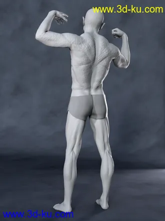 3D打印模型Calique and Calix HD for Genesis 8.1 Male的图片