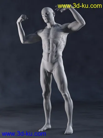 3D打印模型Calique and Calix HD for Genesis 8.1 Male的图片