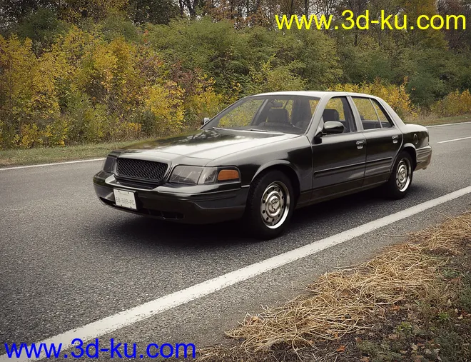 Casual Family Sedan模型的图片10