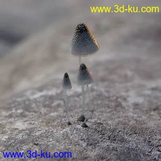 3D打印模型Chthonic Realm Environment Kit的图片