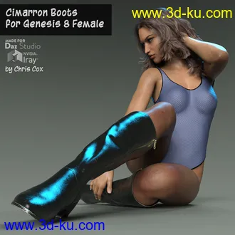 3D打印模型Cimarron Boots for G8F的图片