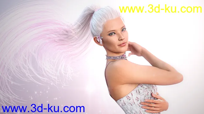 Clara 8.1模型的图片24