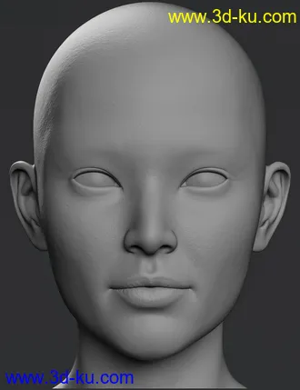 3D打印模型Clara 8.1 HD Add-On的图片