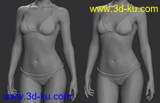 3D打印模型Clara 8.1 HD Add-On的图片