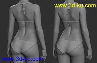3D打印模型Clara 8.1 HD Add-On的图片