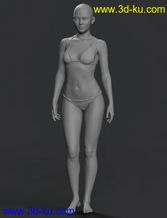 3D打印模型Clara 8.1 HD Add-On的图片