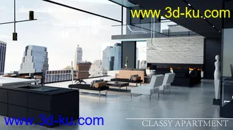 3D打印模型Classy Apartment的图片