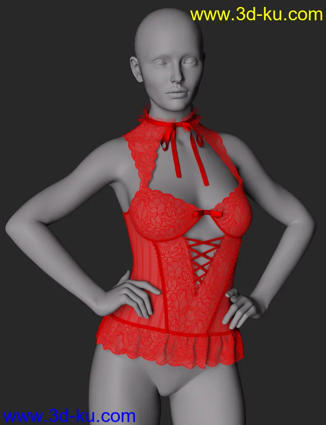 CNB Lace dForce Bustier for Genesis 8 and 8.1 Females模型的图片6